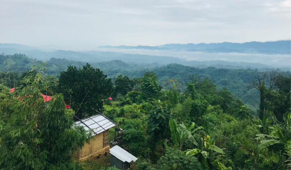 Kandy Nuwara Eliya Train