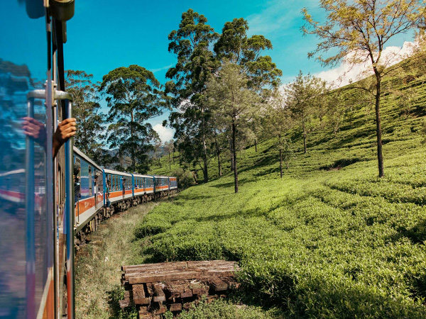 Nine Arches Bridge Ella